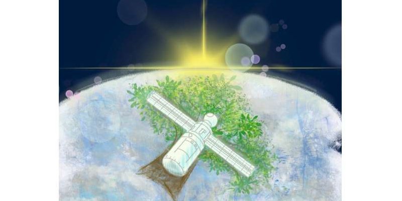 Японські вчені розраховують використовувати деревину для будівництва космічних апаратів (Фото: KyotoU Global Comms/Джейк Тобіяма)