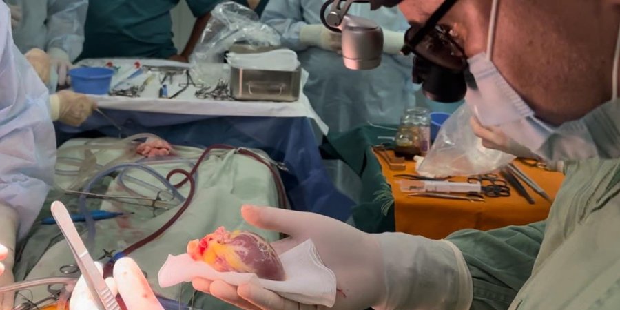 В Україні вперше провели трансплантацію серця дитині від донора-дитини (Фото:@Інститут серця МОЗ України/Facebook)