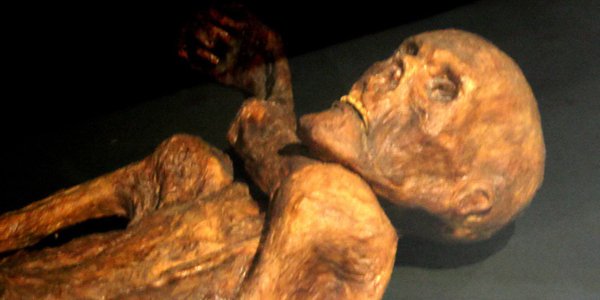 Мумия Этци оказалась темнокожей (Фото: Prehistory Museum of Quinson, Alpes-de-Haute-Provence, France)