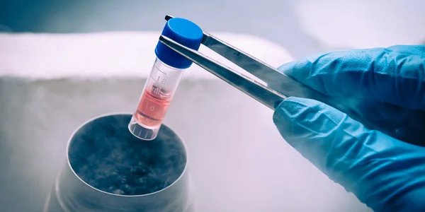 Шляхом перепрограмування стовбурових клітин можна отримати нові органи і частини тіла (Фото: OlenaPavlovich/Depositphotos)