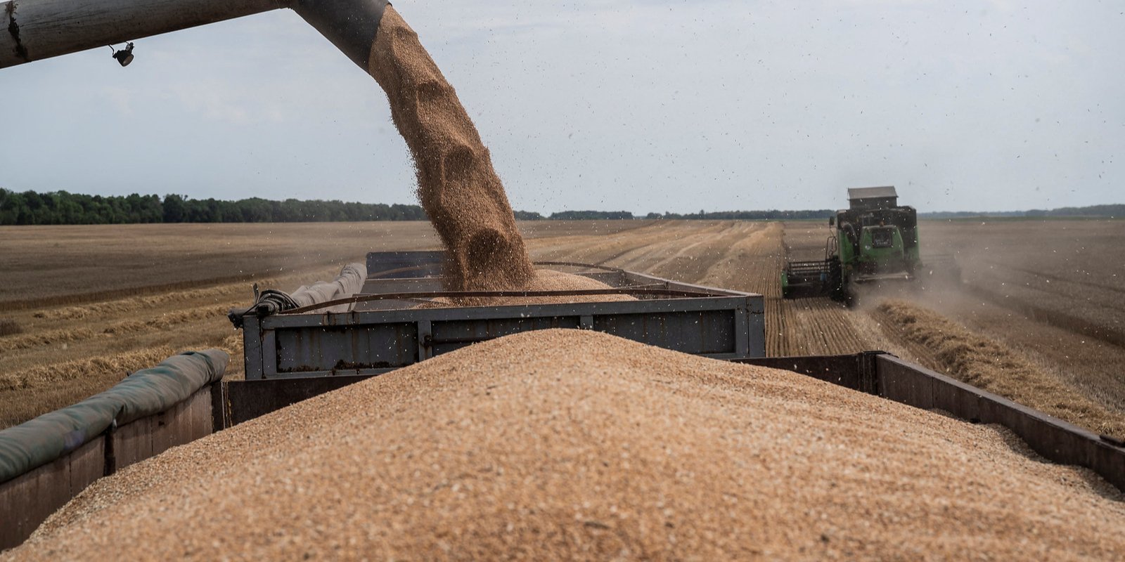 Harvesting in the Kyiv region at the beginning of August 2022 (Photo: REUTERS/Viacheslav Ratynskyi)