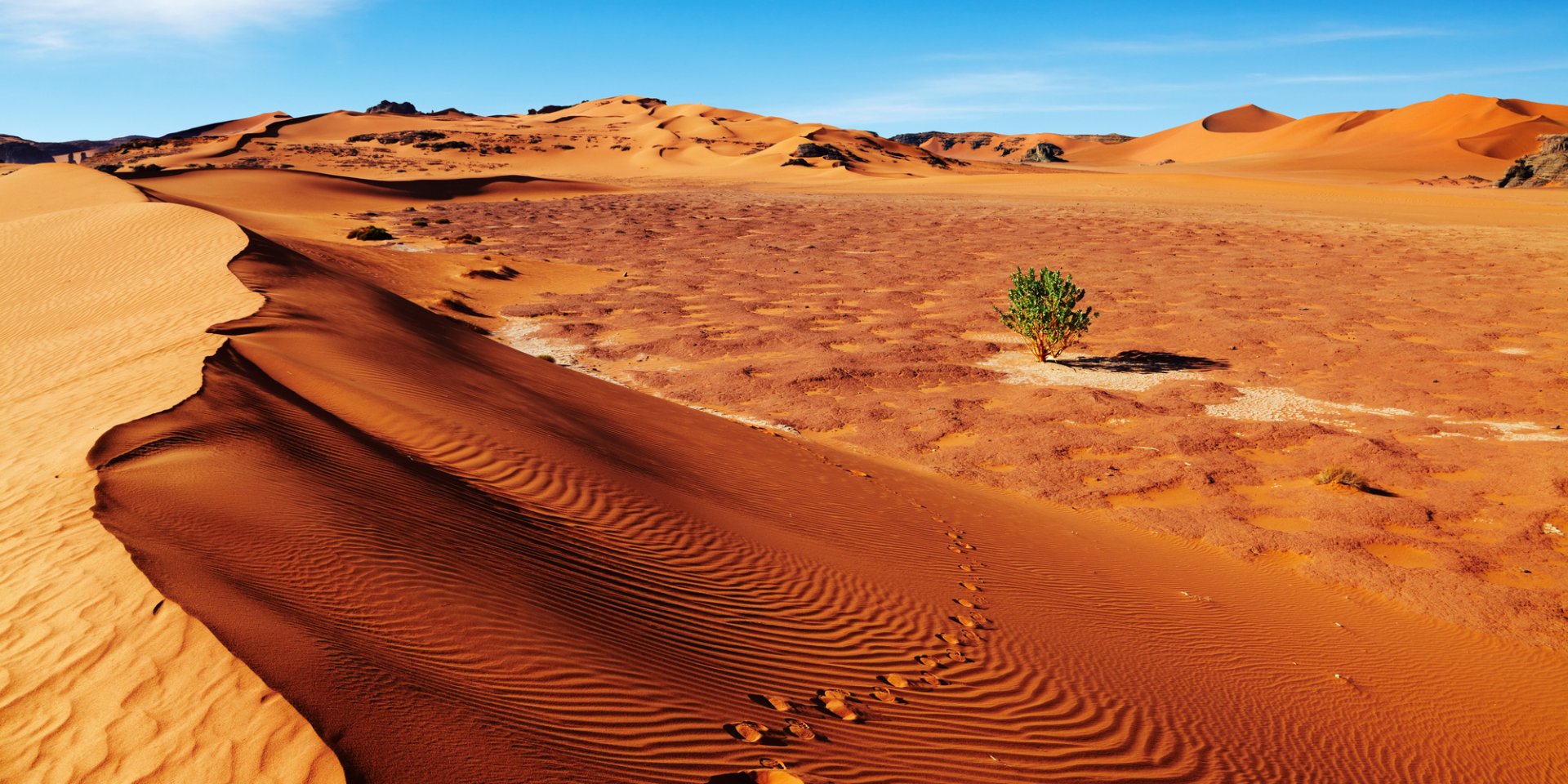 Пустыня Сахара периодически зеленеет (Фото: muha04/Depositphotos)