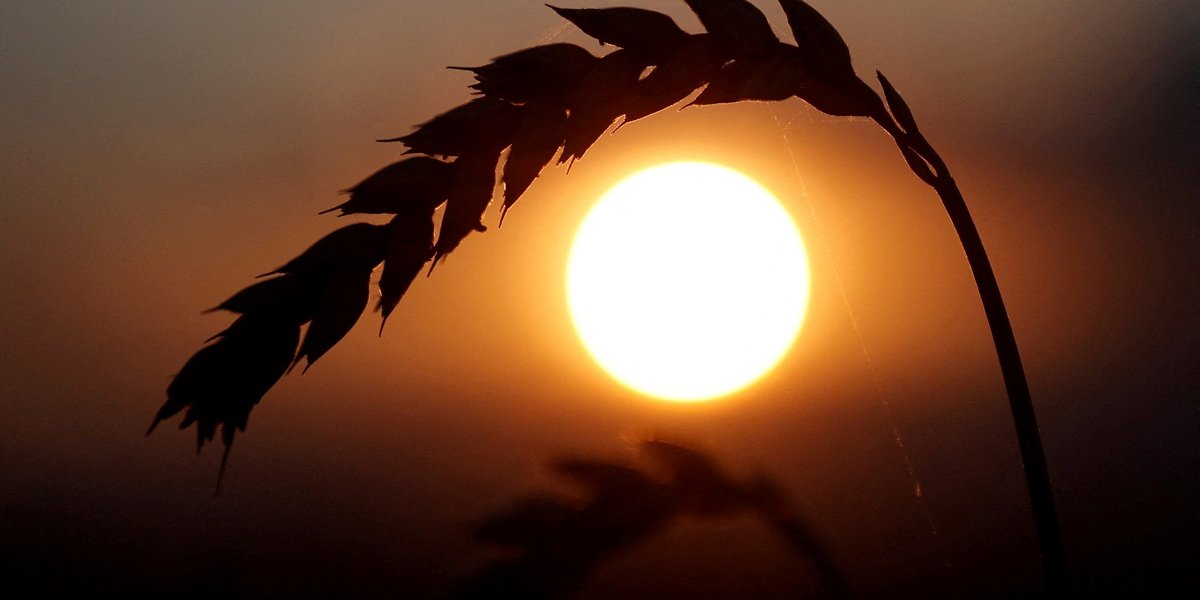 The Cabinet of Ministers has changed the rules for agricultural exporters (Photo: Valentyn Ogirenko / Reuters)
