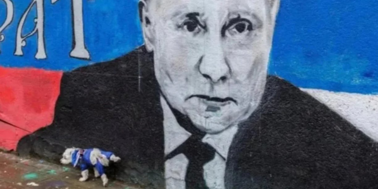 A dog urinates on a wall with a picture of Putin. Serbia, April 2, 2022 (Photo: REUTERS/Antonio Bronic)