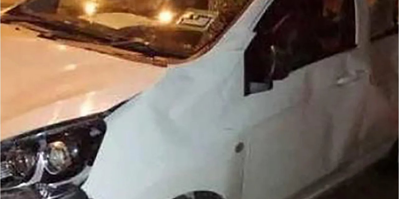 Стадо слонов растоптало автом из-за ДТП со слоненком (Фото: Royal Malaysia Police)