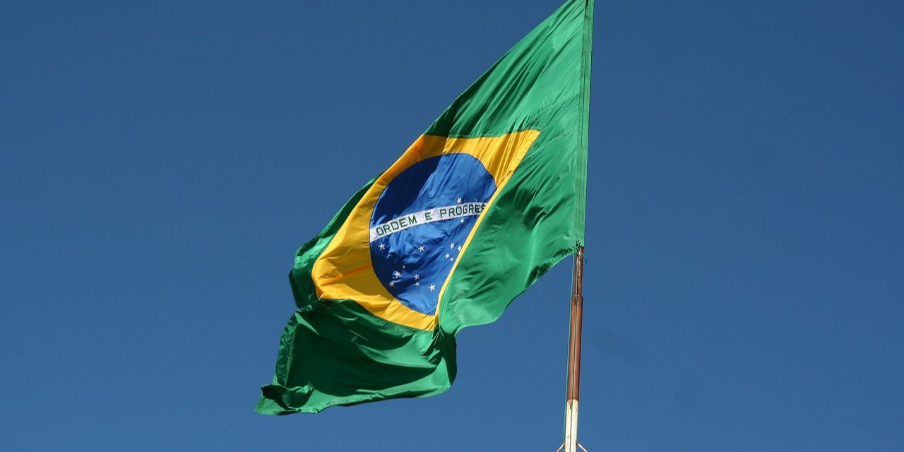 Флаг Бразилии (Фото: Gleidiçon Rodrigues / Pixabay)