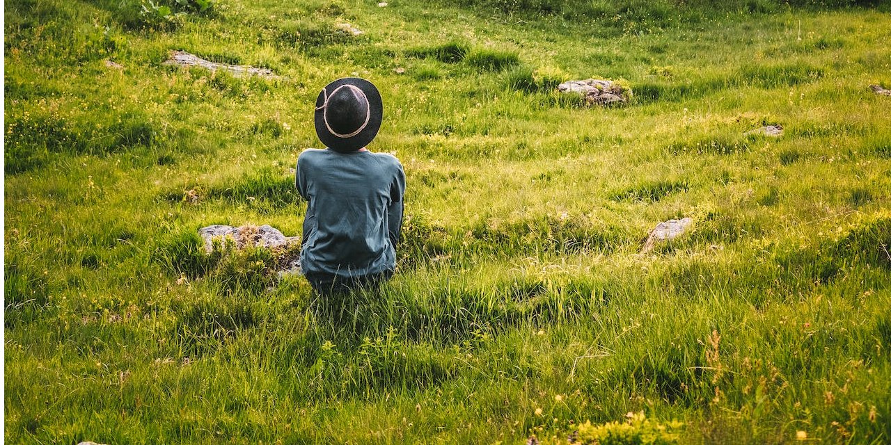 Жизнь в окружении зелени замедляет старение (Фото: pexels)