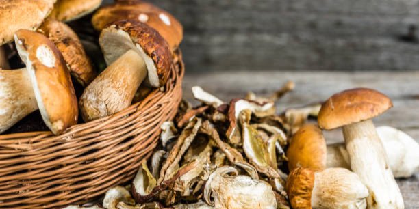 Як смачно та оригінально готувати сушені гриби (Фото: alicjane/stockphoto)