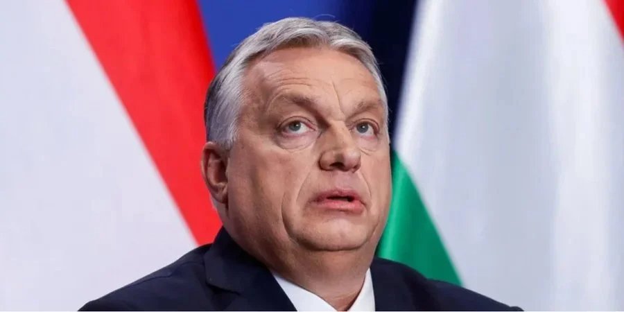 Viktor Orban (Photo: REUTERS/Bernadett Szabo)