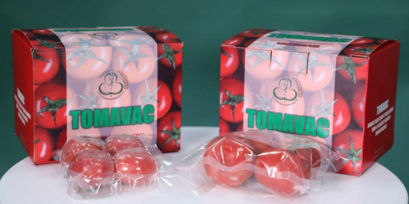 Препарат TOMAVAC создан из модифицированных томатов (Фото: mininnovation.uz)