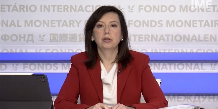 Julie Kozak, official representative of the IMF (Photo: imf.org)