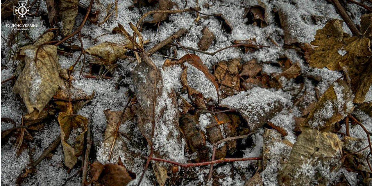 Unexploded ammunition (Photo: ДСНС України у Сумській області / Facebook)