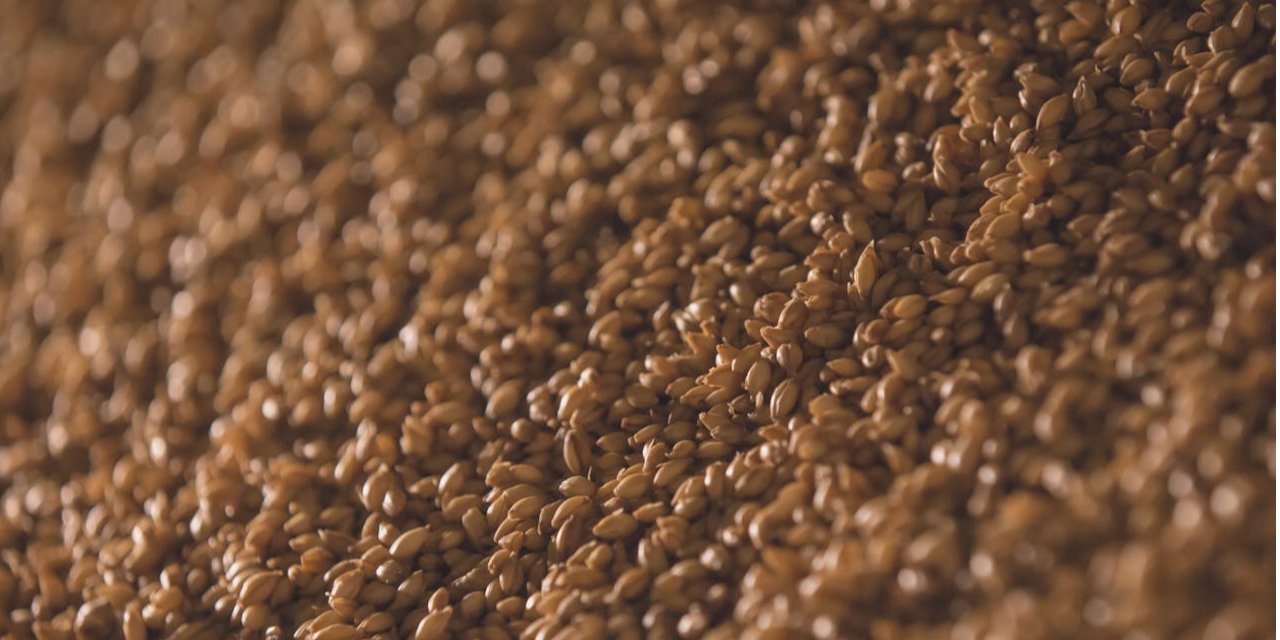 Grain import (Photo: Pexels / 42 North)
