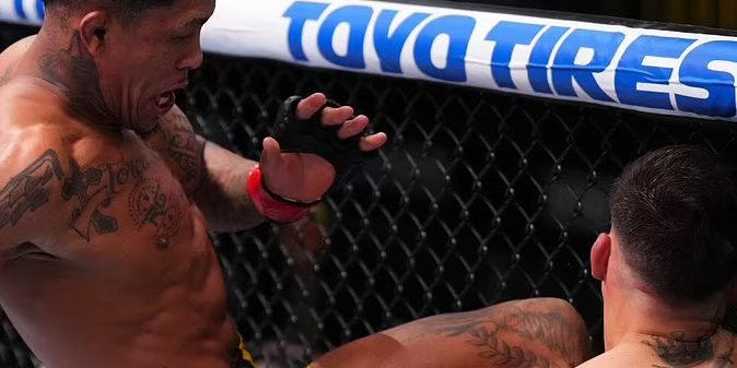 UFC 238 (Фото: mma_orbit)