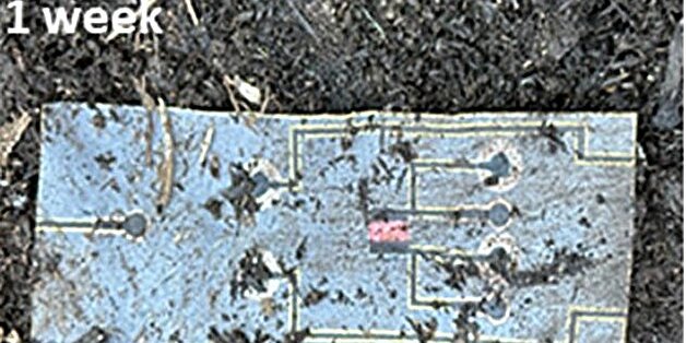 Электронные компоненты из бумаги быстро разлагаются, не загрязняя окружающую среду (Фото: Seokheun Choi / Binghamton University)
