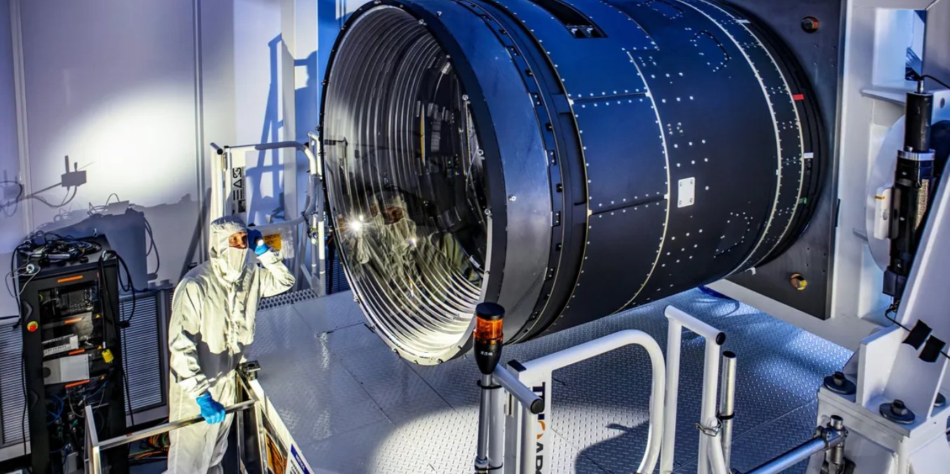 Аю мен қоянның жынысы