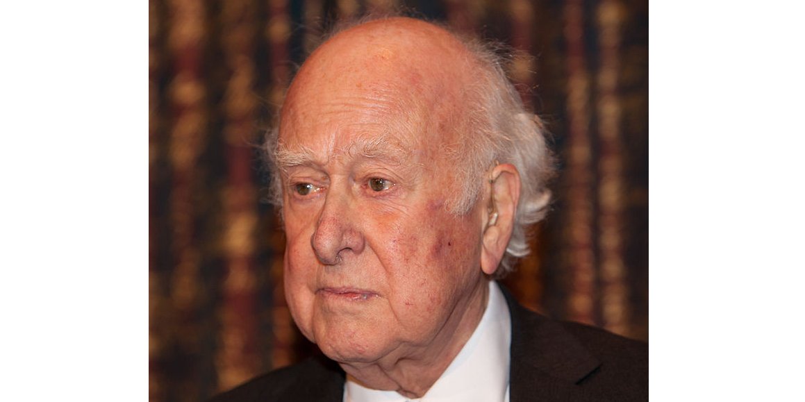 Питер Хиггс в 2013 году (Фото: Bengt Nyman)