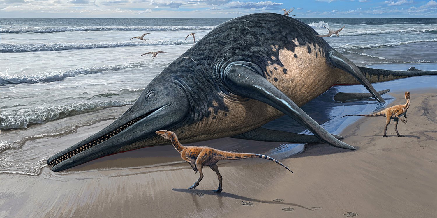 Представление художника о Ichthyotitan severnensis (Фото: Сергей Красовский)