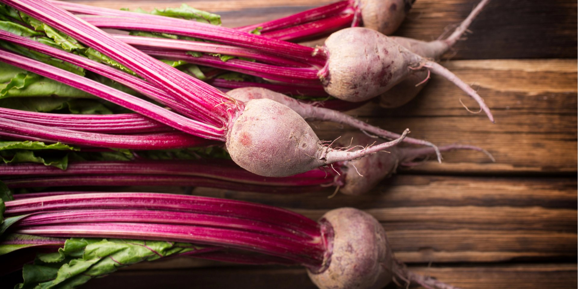 Коли садити буряк 2024 (Фото: gitusik/depositphotos)