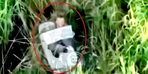 Окупант вирішив зробити ЗСУ комплімент і попросити про пощаду (Фото:Скріншот відео t.me/ButusovPlus)