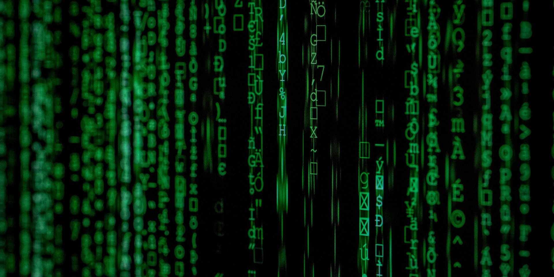 Много личных данных можно найти в интернете (Фото: Markus Spisk/Unsplash)
