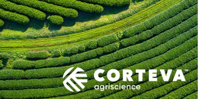 «Ми розглядаємо Україну як ключовий ринок і продовжуємо працювати заради фермерів» — керівник Corteva в Україні - фото