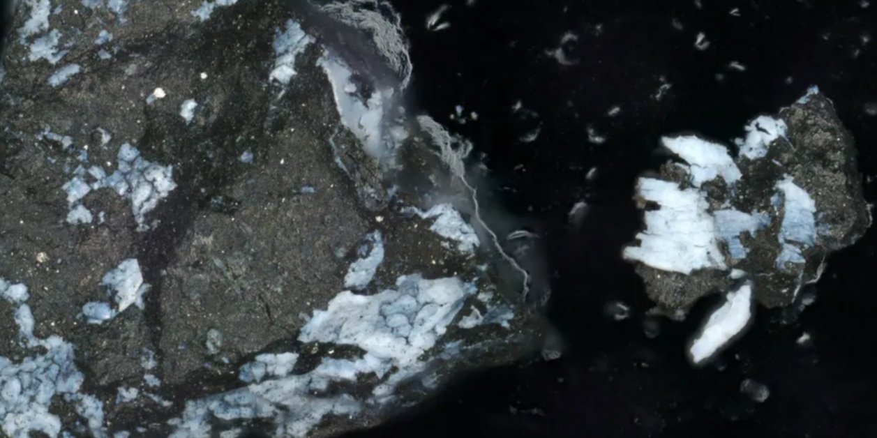 Прошлое астероида в представлении художника (Фото: Lauretta & Connolly et al. (2024) Meteoritics & Planetary Science)