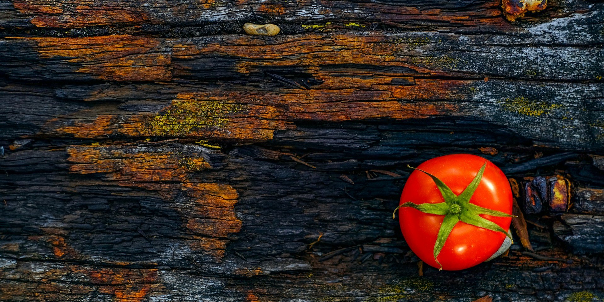 Ось що варто знати про харчову науку (Фото: Unsplash/ Zoltan Tasi)
