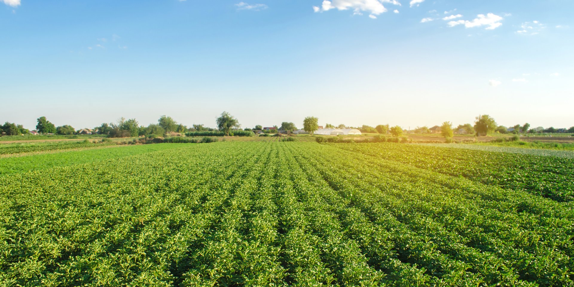 Як заробити в Україні: Чи варто інвестувати в землю і що потрібно знати про це - фото