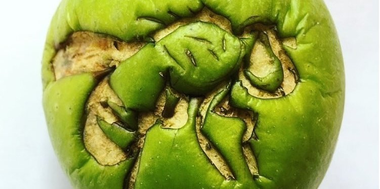Як позбутися мушок на кухні (Фото: INstagram @daniedmunds)