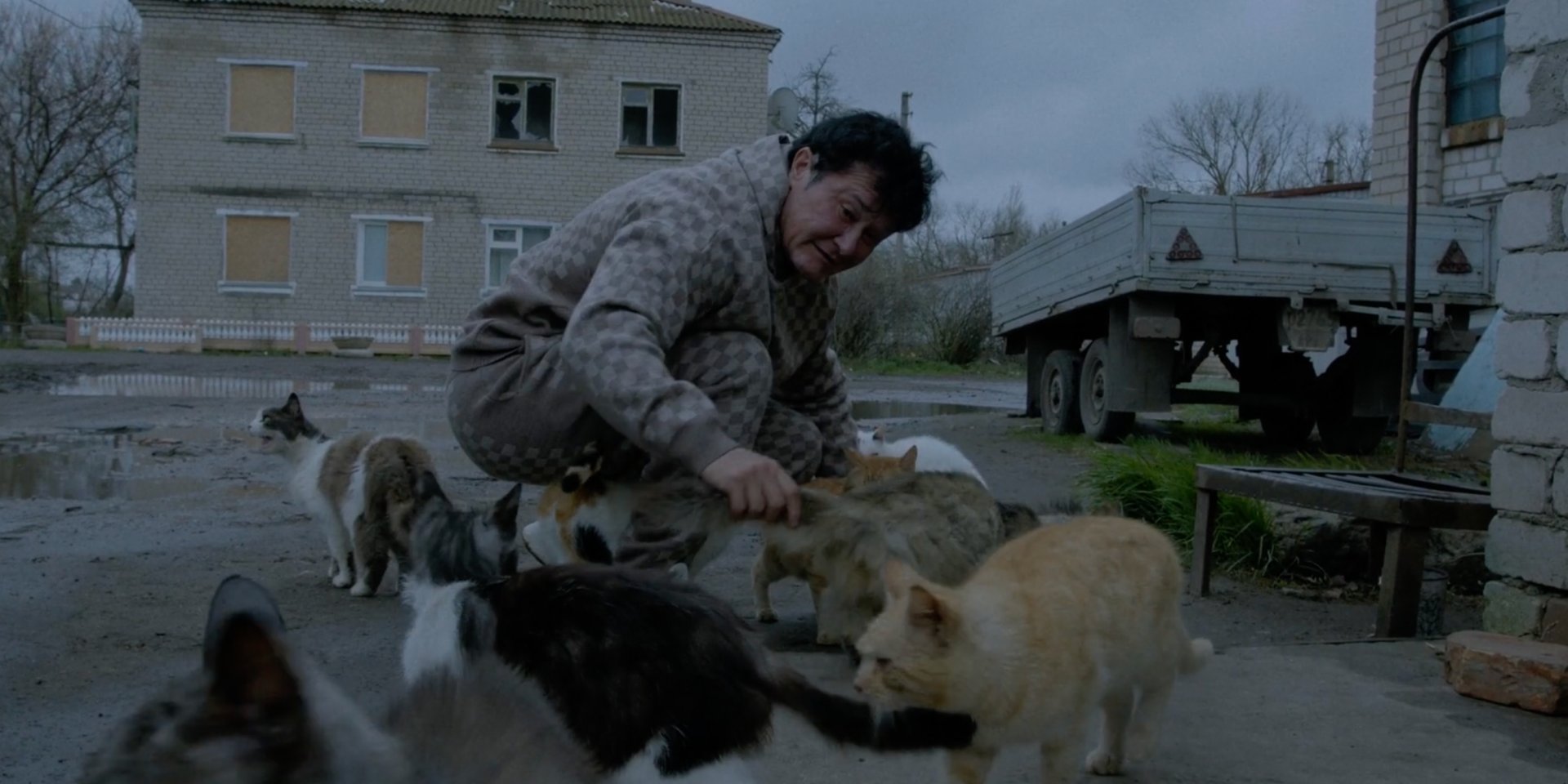 Фестиваль Кіно сусідів (Фото: Кадр з фільму Все має жити)
