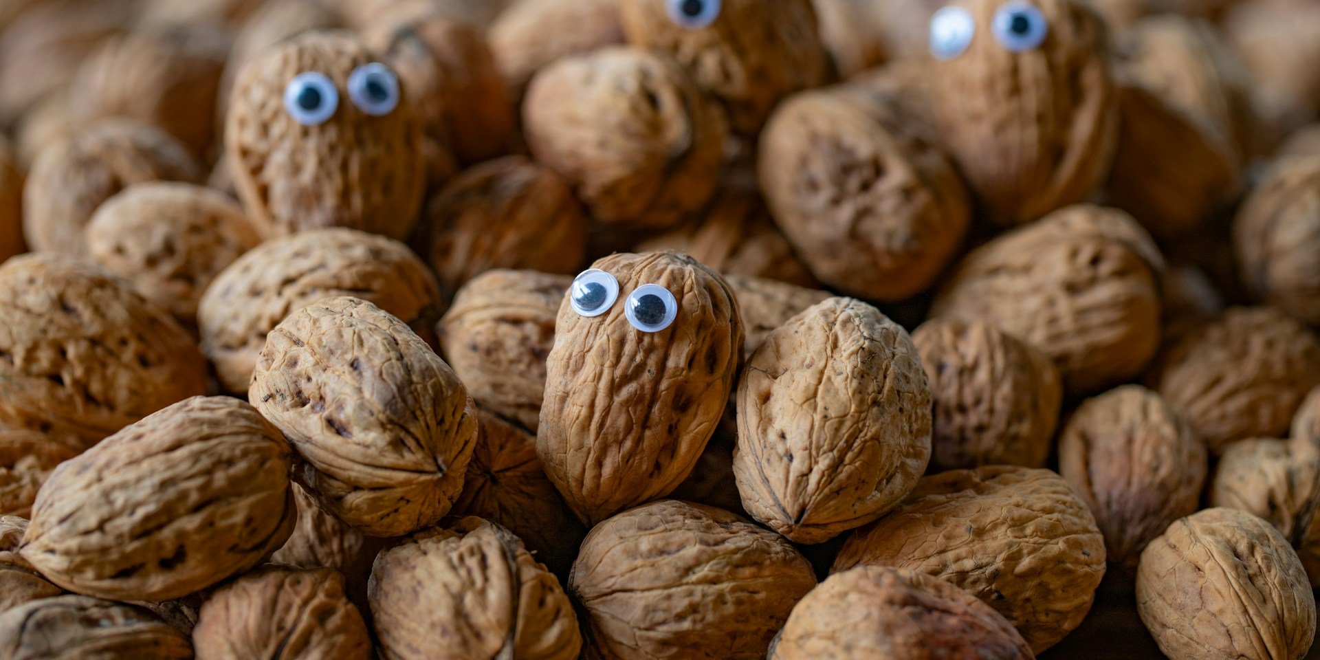 12 найкращих продуктів для ваших очей (Фото: Unsplash/Wouter Supardi Salari)