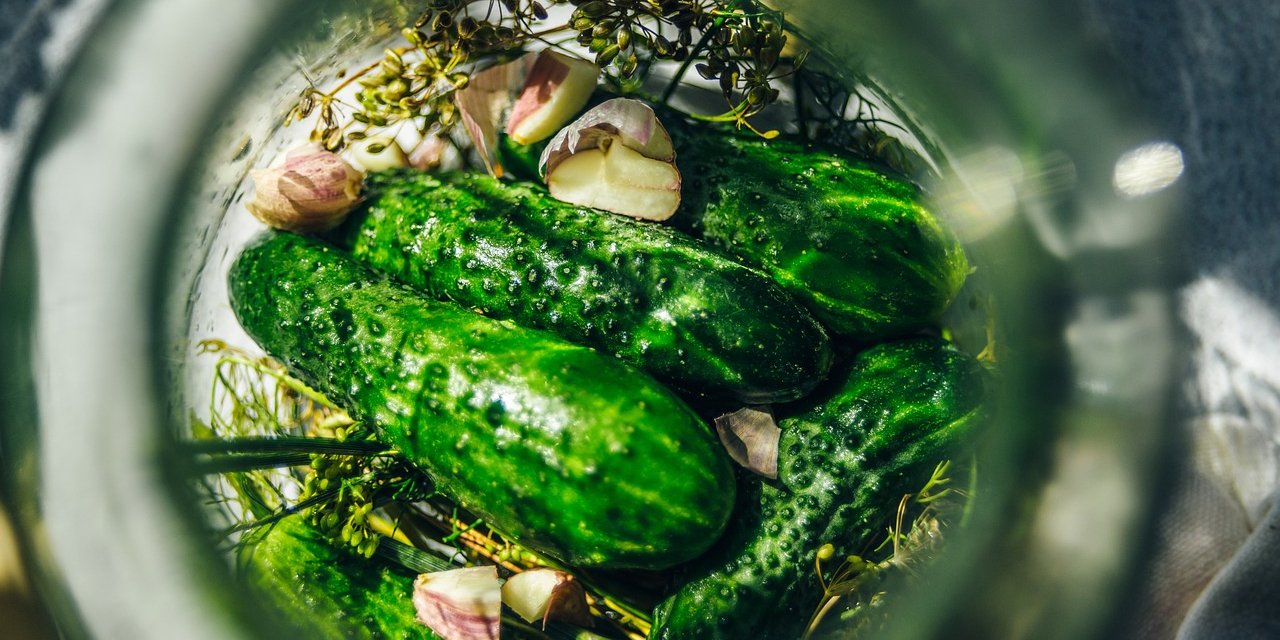 Хрустящие и невероятно вкусные огурцы на зиму в бутылках (Фото: kasjanf / pixabay)