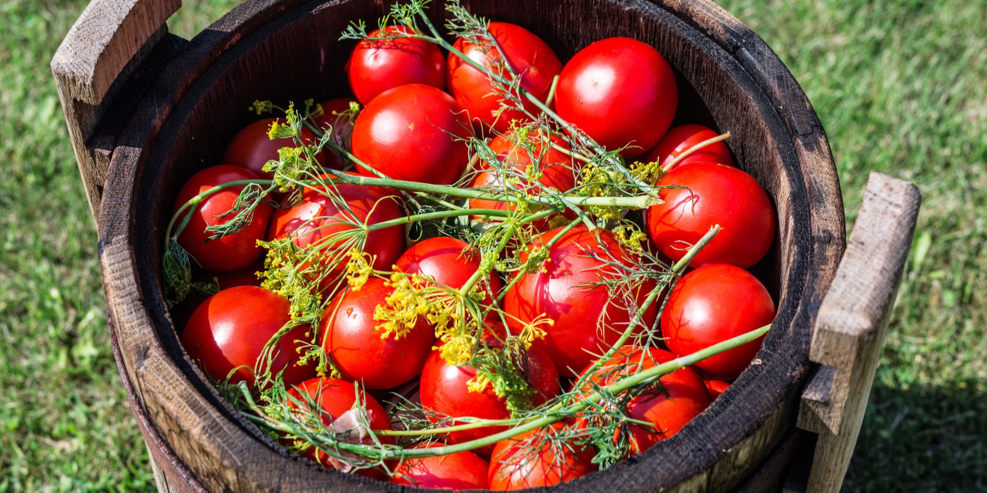 Вкусные квашеные помидоры на зиму, как бочковые (Фото: Valentyn_Volkov / depositphotos)