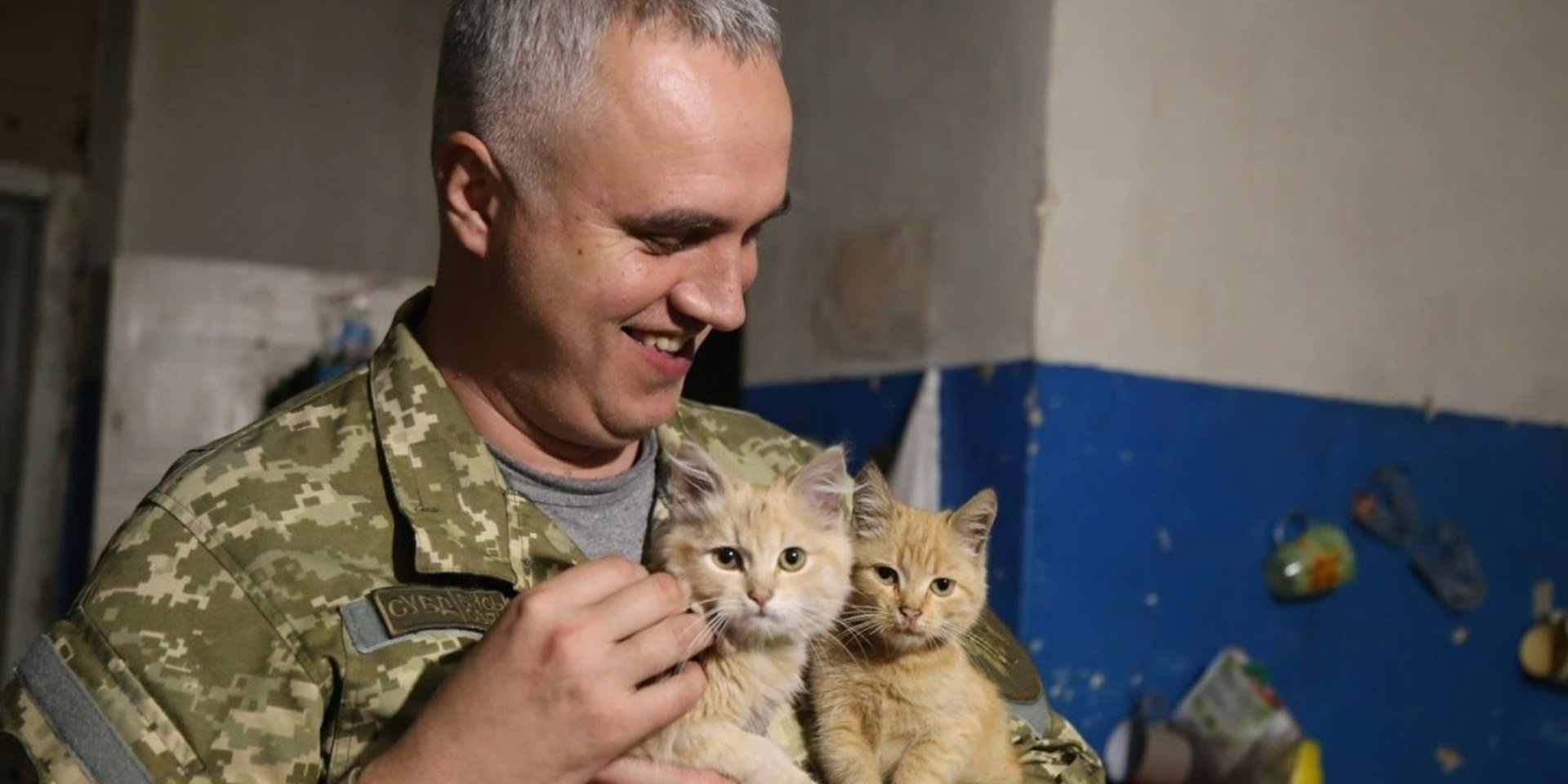 Українські військові та їх коти (Фото: Facebook СтратКом ЗСУ / AFU StratCom)