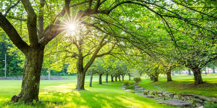 Начнет теплеть. Синоптики предупредили о&nbsp;дождях в&nbsp;трех областях и&nbsp;сообщили о&nbsp;повышении температуры