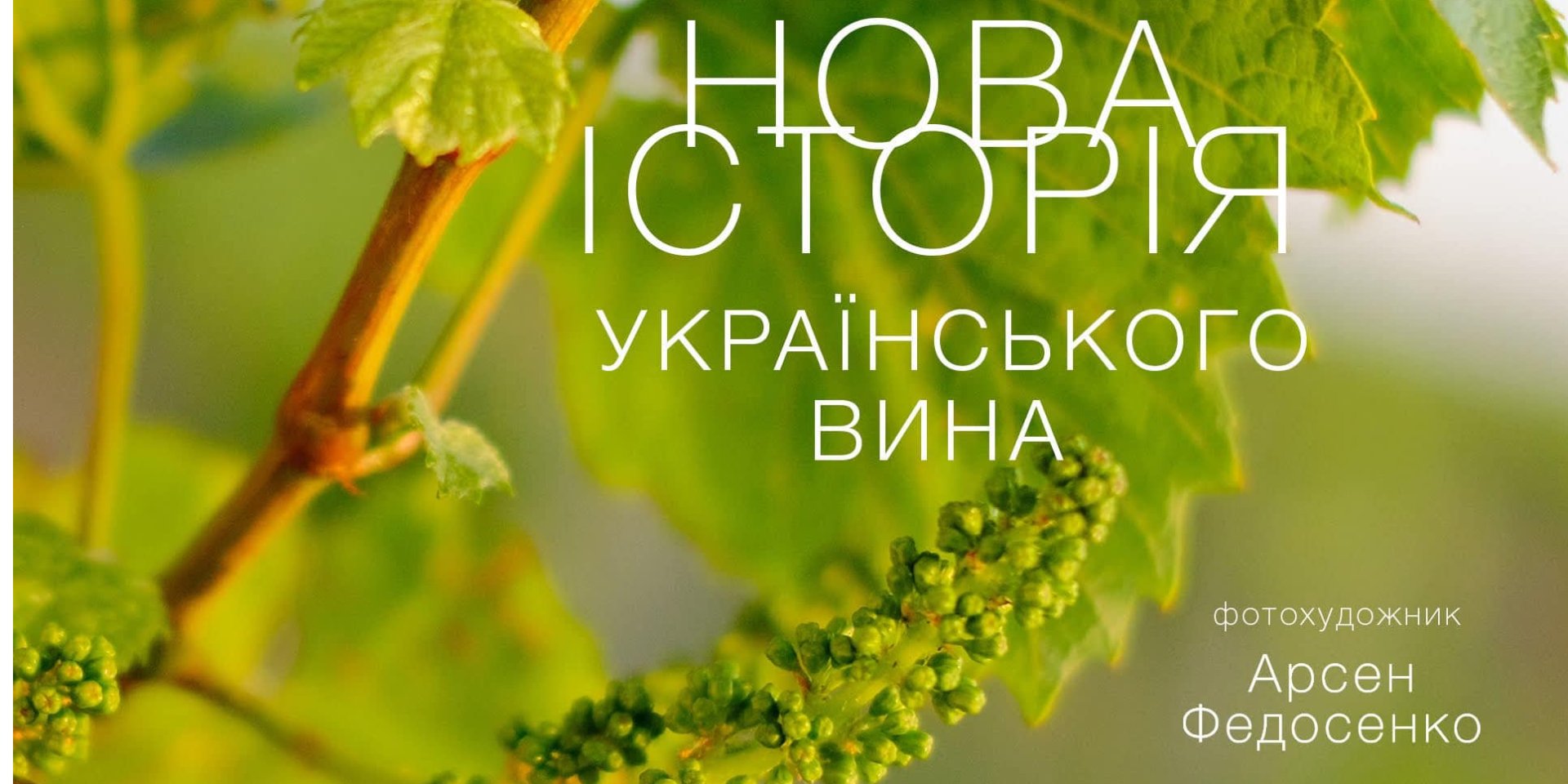 Фотовиставка Нова історія українського вина (Фото: Анна Кирій/facebook)