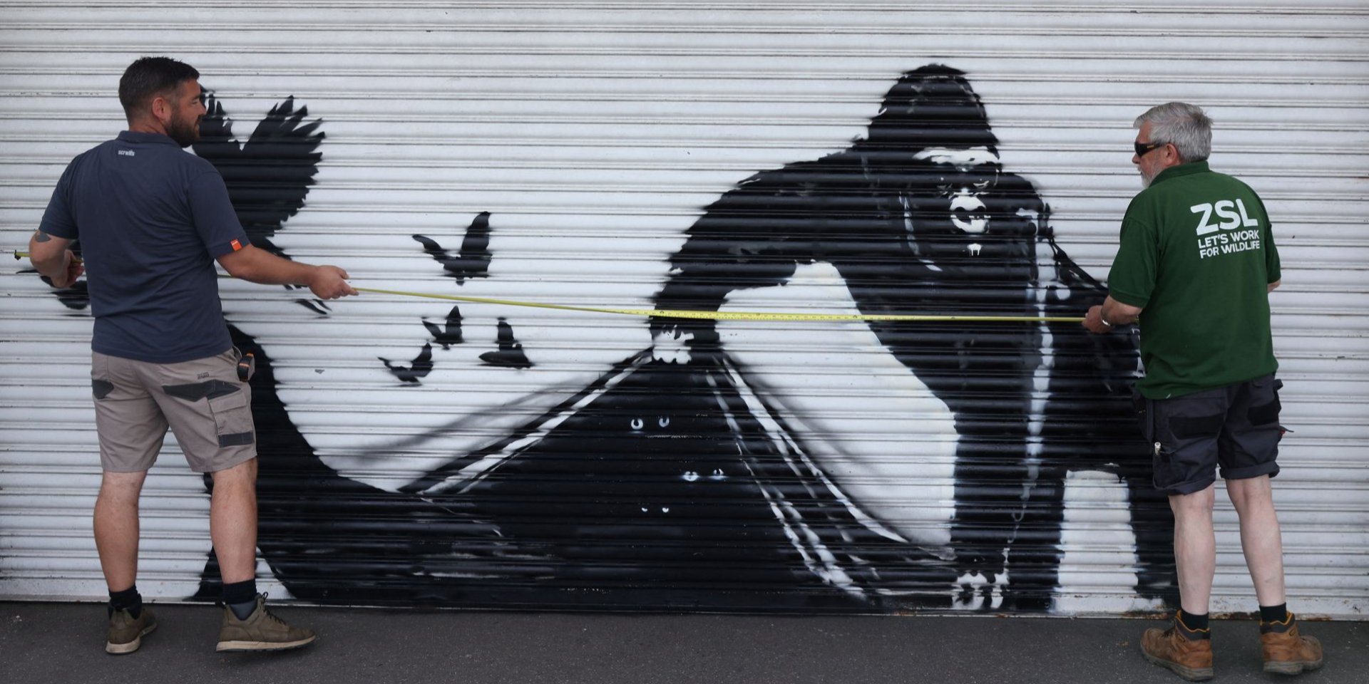 Граффити Бэнкси в Лондонском зоопарке (Фото: REUTERS/Холли Адамс)