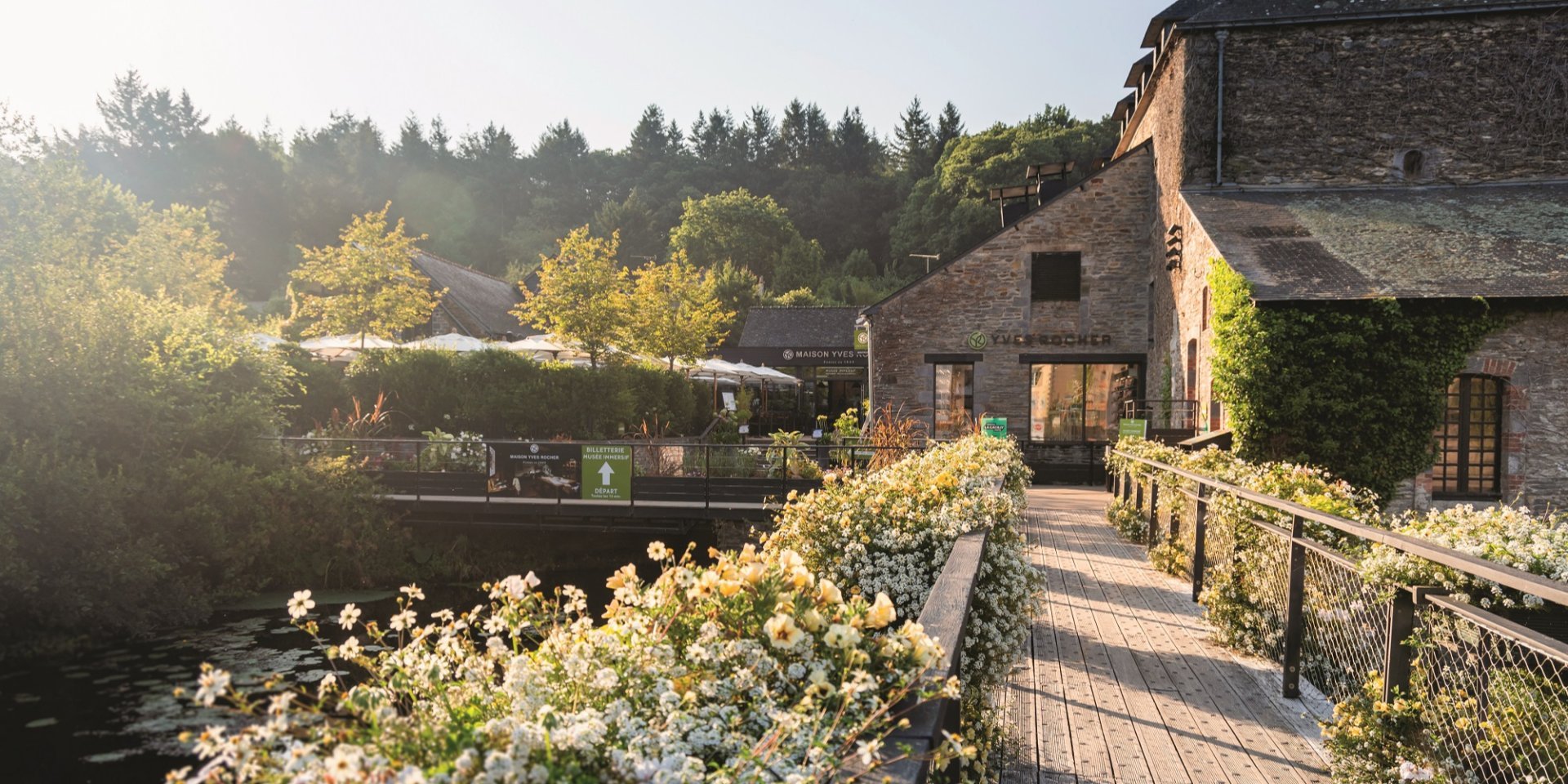 Что объединило французский бренд Yves Rocher и украинский проект Nasivanky - фото