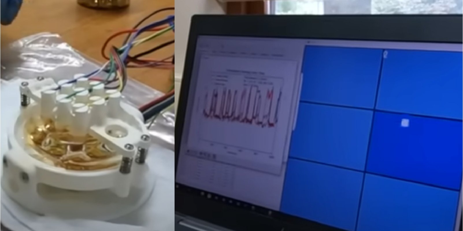 Искусственный «мозг» продемонстрировал невероятные способности (Фото: Yoshikatsu Hayashi, ScienceAlert / YouTube)
