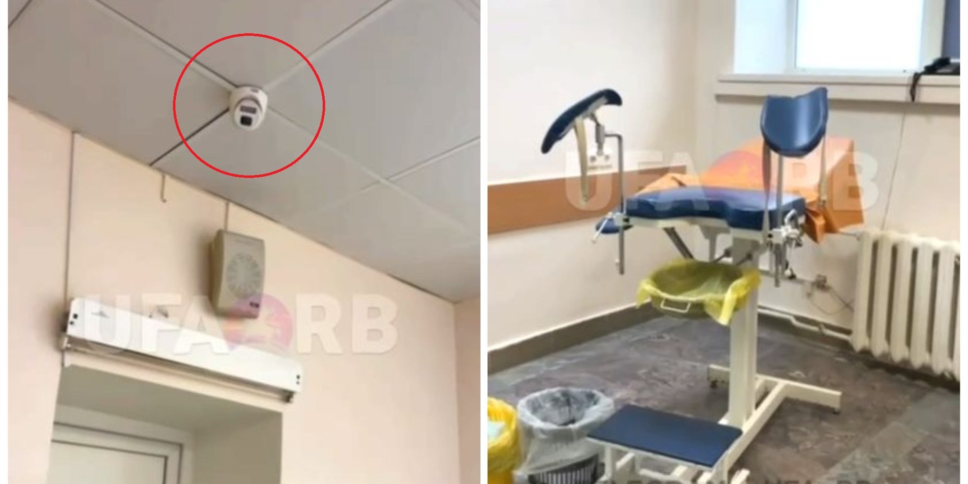 Бұл бірнеше есек суреттер