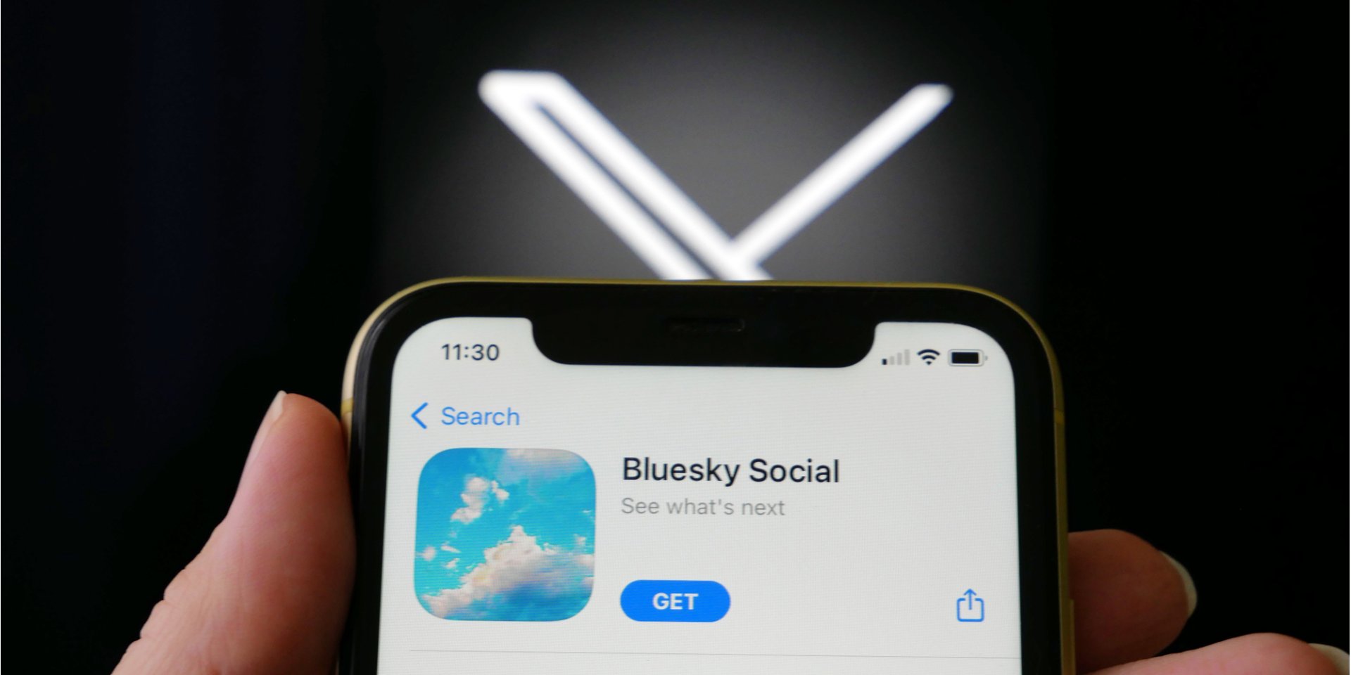 В значительной степени рост Bluesky связан с блокировкой X в Бразилии (Фото: LessLemon / Depositphotos)