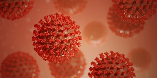 Врачи еще в начале пандемии обратили внимание на то, что SARS-CoV-2 поражает не только легкие, но и сердце, печень, толстую кишку и поджелудочную железу. (Фото: pixabay)