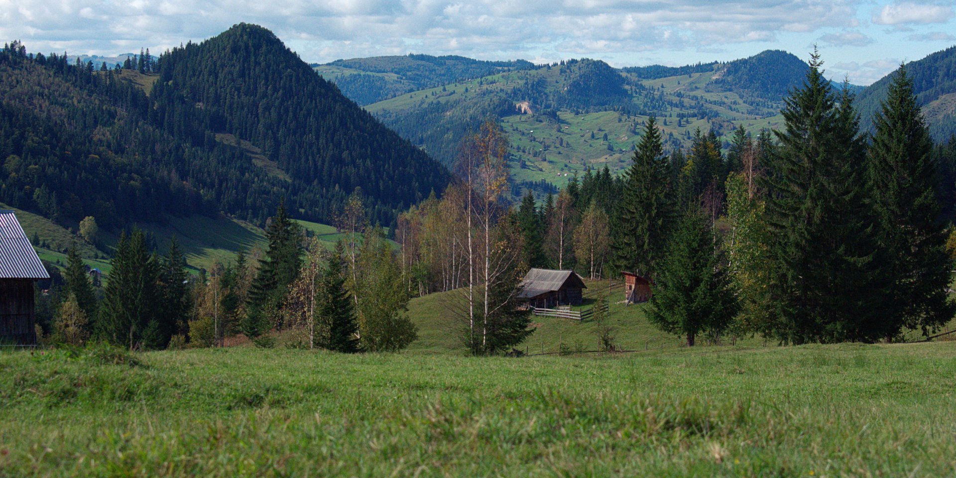 Популярные украинские фразеологизмы (Фото: pexels.com/Diana)