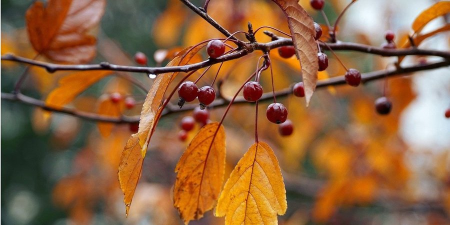 Где ждать дождь. Синоптик сделала прогноз погоды на&nbsp;выходные и&nbsp;назвала самые прохладные и&nbsp;теплые области