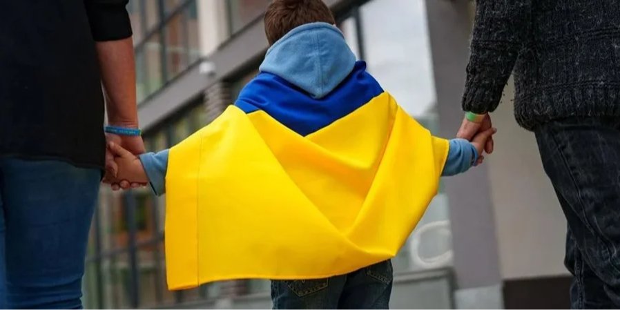 Алгоритм створення прийомної сім'ї (Фото: Микола Кулеба/Facebook)