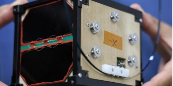 LignoSat on display at Kyoto University before Nov. 5 launch (Photo: Irene Wang/Reuters)