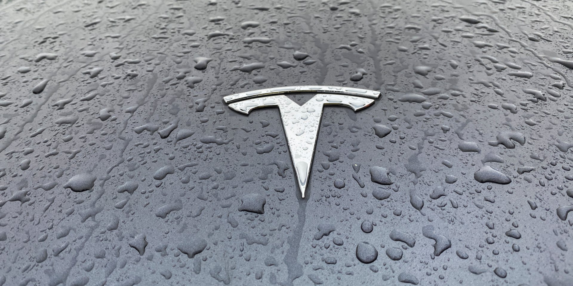 Tesla является лидером на самом электрифицированном рынке мира (Фото: REUTERS/Victoria Klesty/File Photo)