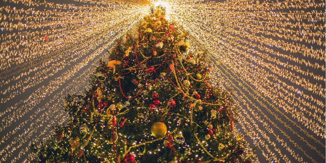 Новогоднее платье 2025 (Фото: Pexels)