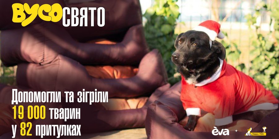 Новости компаний: Усы в тепле. Как EVA и Happy Paw помогают животным из приютов пережить зиму